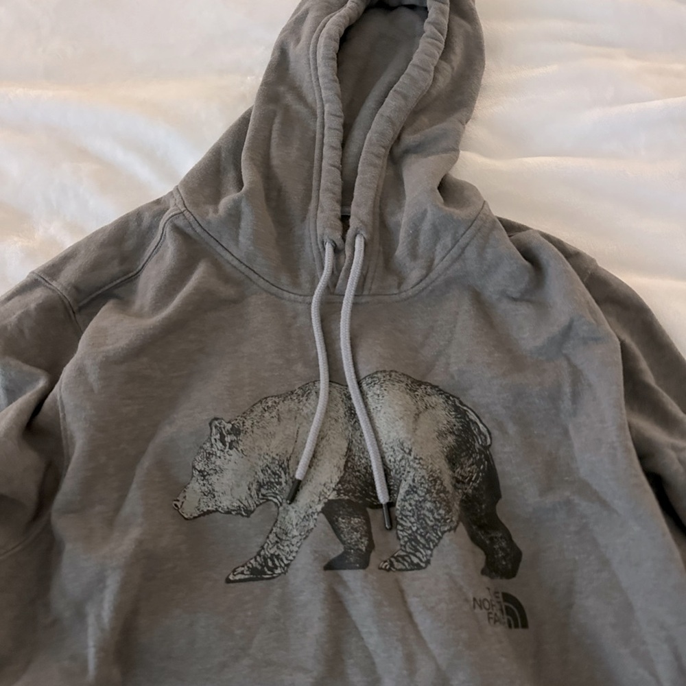 The North Face Bear Graphic Hoodie - Picture 3 of 3